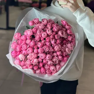 Малиновий захід 