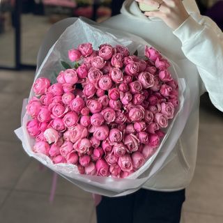 Малиновий захід 