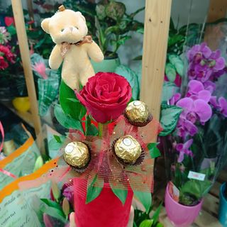 Boks sa plišanim medvedićem