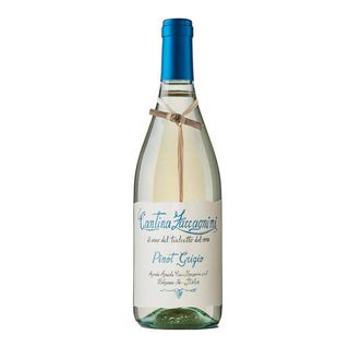 Zaccagnini Tralcetto Pinot Grigio Terre di Chien