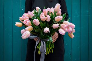 ტიტების თაიგული