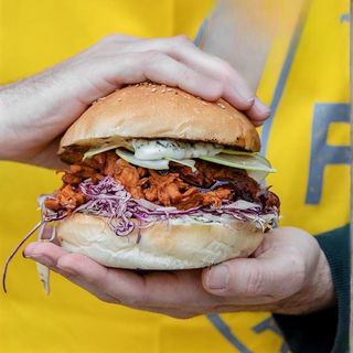 Pulled planted - vegan (no disp gluten free)