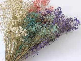 Ramillete De Paniculata