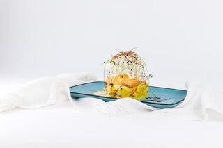 Somon pe pat de cartofi 