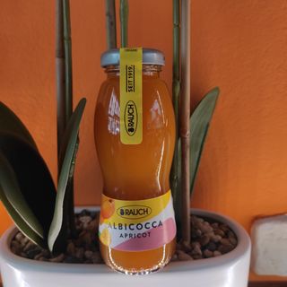 Succo ALBICOCCA 0,2l