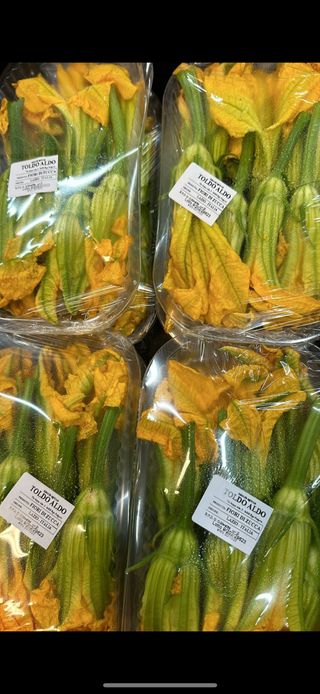 Fiori di zucca (confezione)