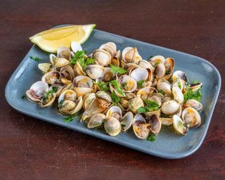 Mexilhão a Bulhão pato