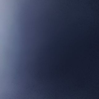 #40B Pato Verdura Chop Suey