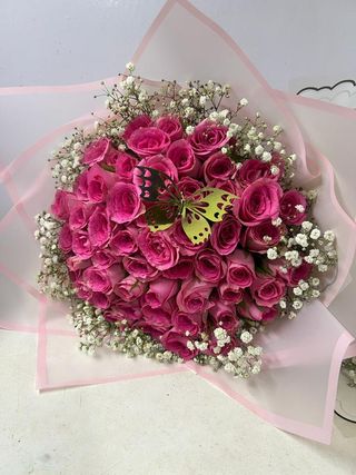 Pink Butterfly