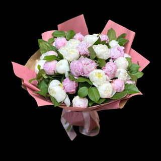 Huge Peonies