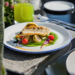 Судак «Ассоль»