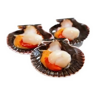 Vieira con ajo al vapor