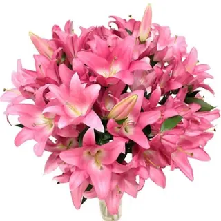 Bouquet de lys rose OR - 5 branches