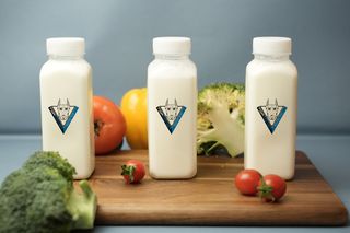 Шалап, айран для донера (250мл)