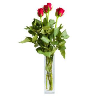 Bouquet di 5 rose rosse superior
