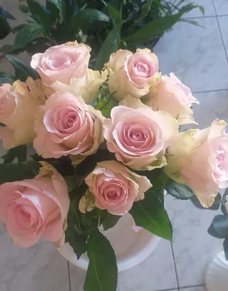 Buchet 20