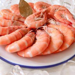 Langostino 