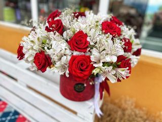 თაიგული 50