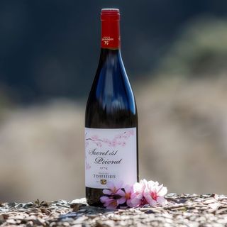 Secret del Priorat 75cl