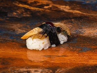 Nigiri węgorz