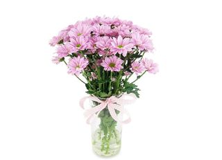 5 Хризантеми, Розови