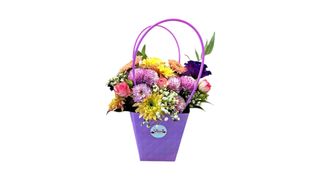 ქრიზანთემების სიმფონია