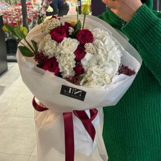 Вогонь і сніг 