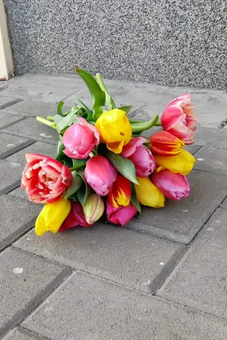 25 Лалета