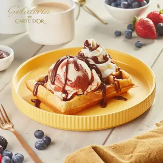 GOFRE CON Nocilla