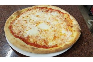 Provola