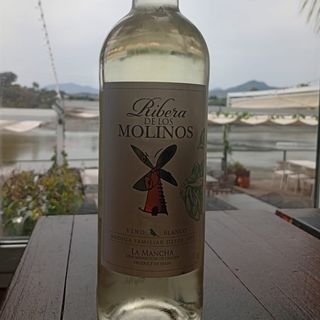 Vino Blanco Ribera de los Molinos (75 cl.)