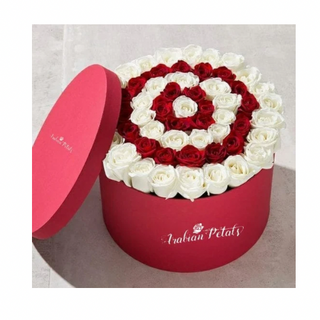 Bianco e rosse rose in scatola