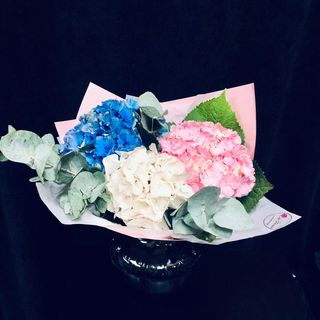 Buchet din 3 Hortensii Mixte