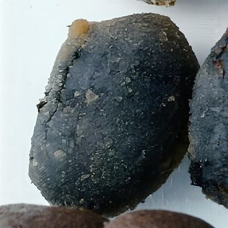 Croquetas De Calamares En Tinta  (8 Uds.)