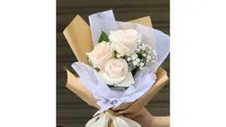ვარდი,გიფსო,შეფუთვა