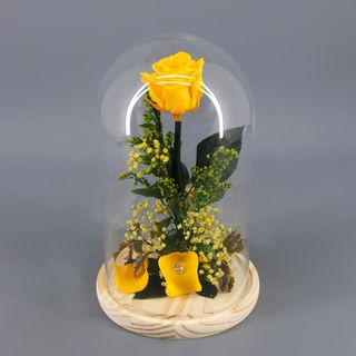 Cúpula Rosa Preservada