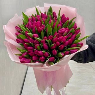 101 малиновий тюльпан