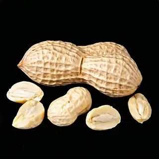 Orzeszki