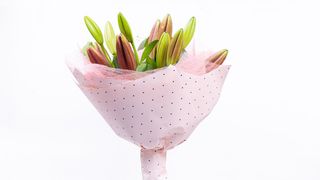 Buket od tri roze ljiljana zatvorena