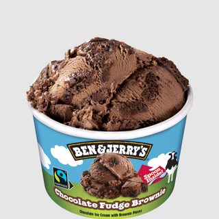 B&J Chocolate Fudge Brownie