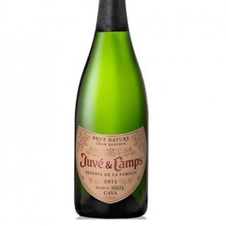 Juve & Camps Reservas de la Familia - Cava