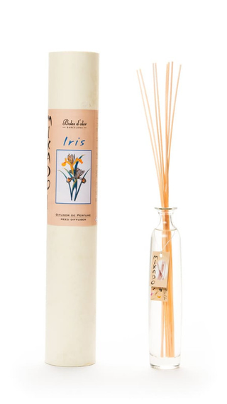 Mikado Iris