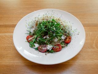 INSALATA LA MISTICANZA