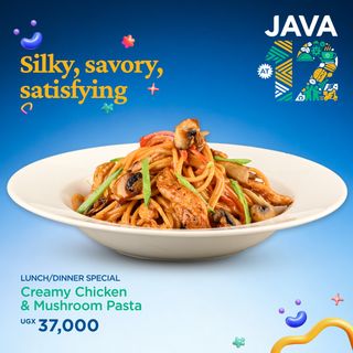 Creamy Chicken and Mushroom Pasta