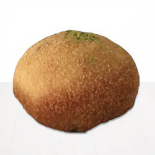Brontesina fritta