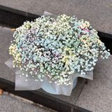 Композиція з гіпсофіл в боксі 