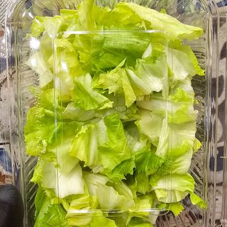 Scarola già tagliata 