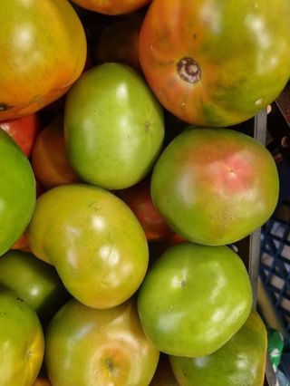 Pomodoro verdone al kg