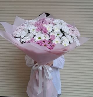 Bukiet kolorowa margaretka 15 szt