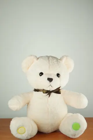 TEDDY BEAR 